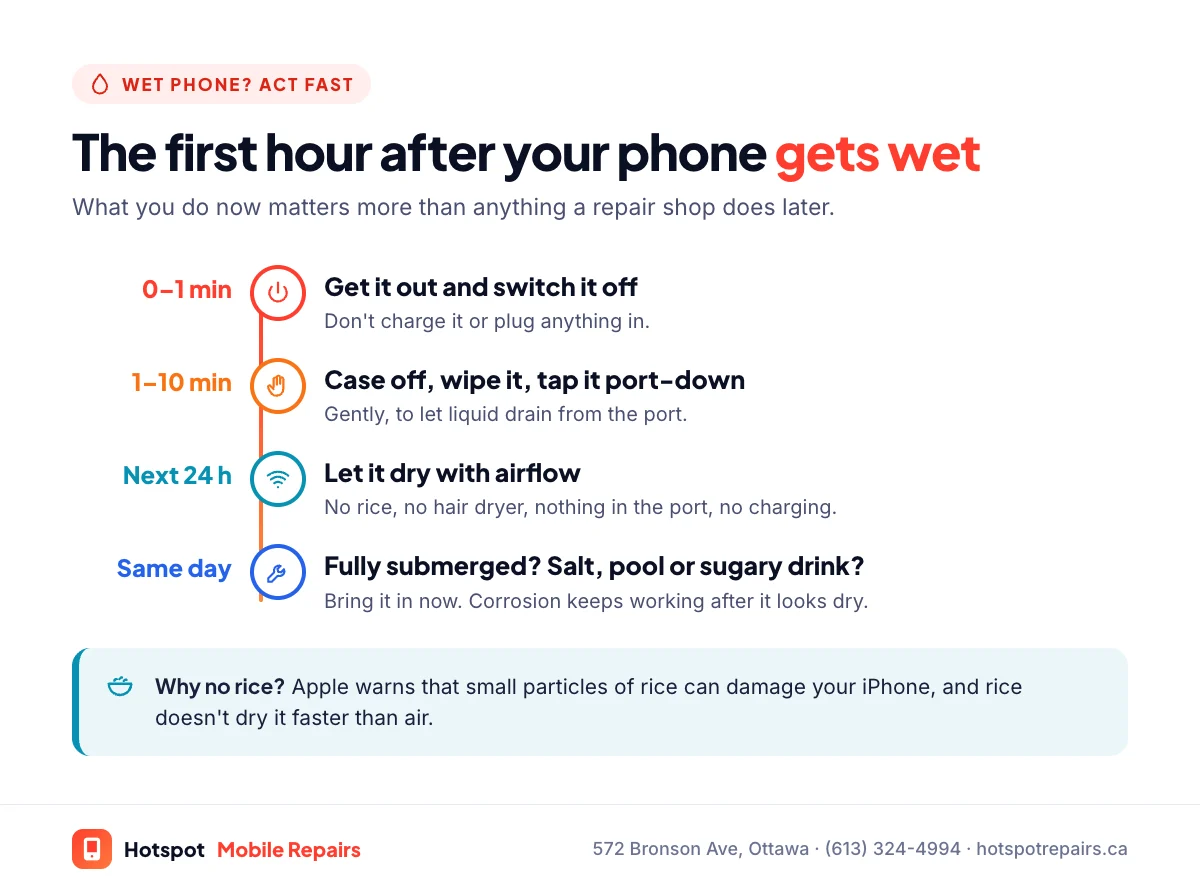 Timeline of what to do when a phone gets wet: in the first minute get it out and switch it off, in the first ten minutes remove the case, wipe it and tap it connector-down, over the next 24 hours let it dry with airflow and no rice, heat or charging, and the same day bring it in if it was fully submerged or wet with salt, pool water or a sugary drink